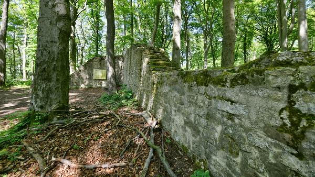 Bild zur Veranstaltung: Freiwilligen-Tag auf dem Landecker
