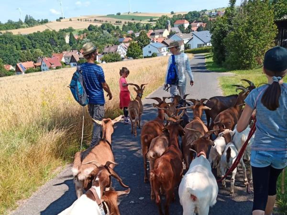 Bild zur Veranstaltung: Bock auf Ziegenwanderung?!