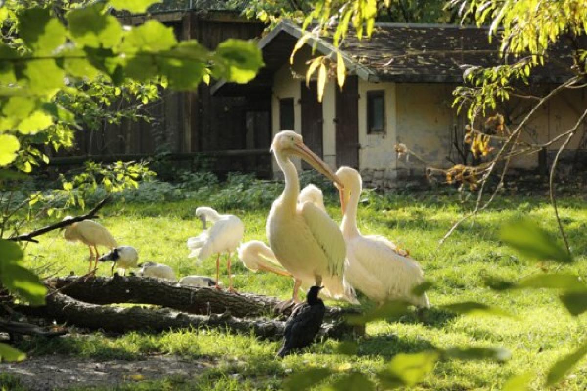 Bild zur Veranstaltung: Oma-Opa-Tag im Tierpark Gotha