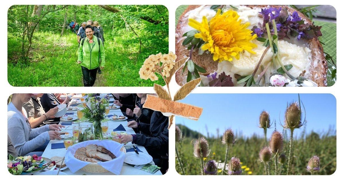 Bild zur Veranstaltung: Kräuterwanderung - für Herz & Seele
